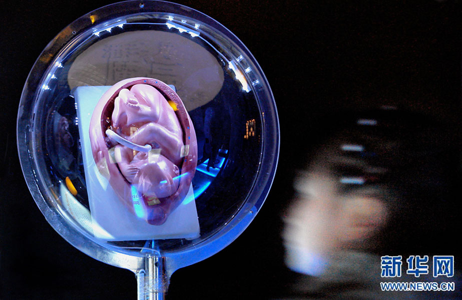 一名小學生在鄭州科技館內(nèi)參觀介紹遺傳、生育等知識的“奇幻生命之旅”展覽（2007年2月18日攝）。