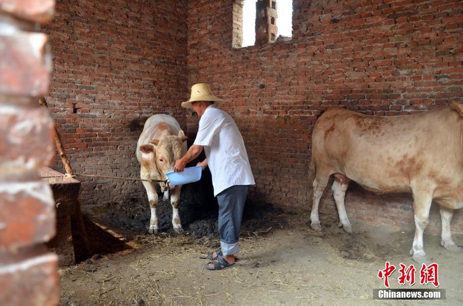 同時(shí)，地下水位的持續(xù)下降以及部分山泉水的干涸，已造成全縣2.85萬人和2000頭大牲畜出現(xiàn)飲水困難。