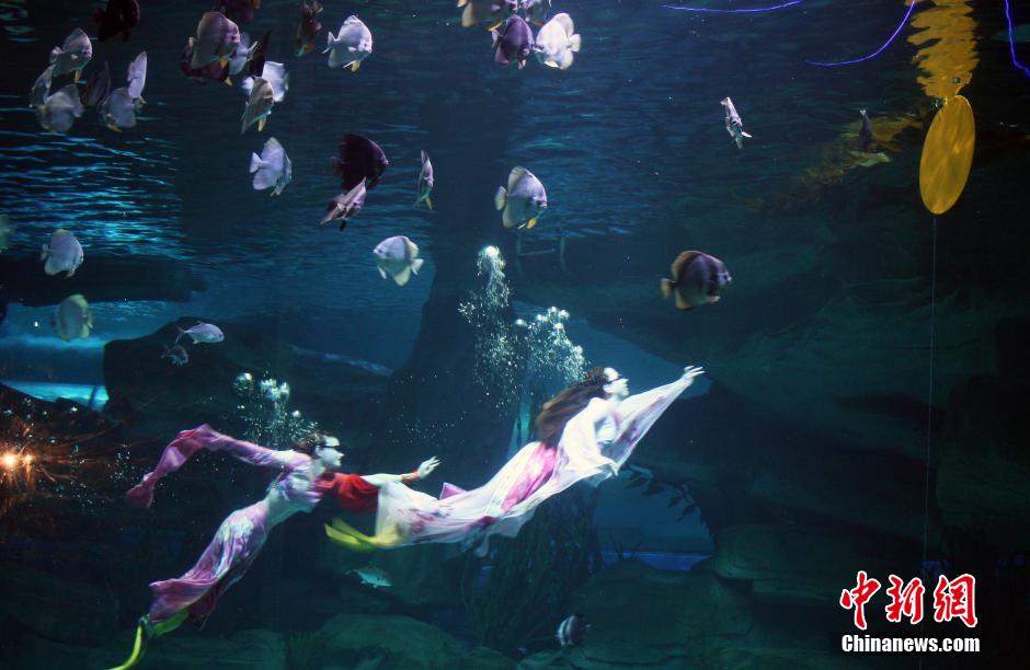 9月7日，在中秋節(jié)到來前一天，山東泉城海洋極地世界為游客帶來“嫦娥水中奔月”表演。