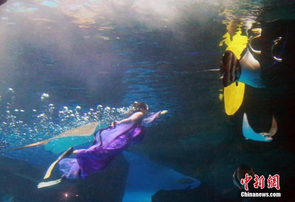 9月7日，在中秋節(jié)到來前一天，山東泉城海洋極地世界為游客帶來“嫦娥水中奔月”表演。