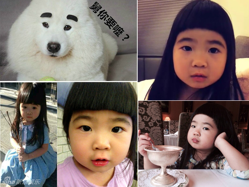 不小心就撞臉了！盤點(diǎn)動(dòng)物界的明星相