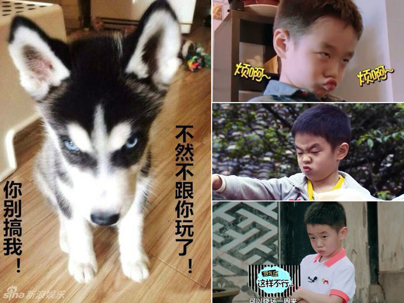 不小心就撞臉了！盤點(diǎn)動(dòng)物界的明星相