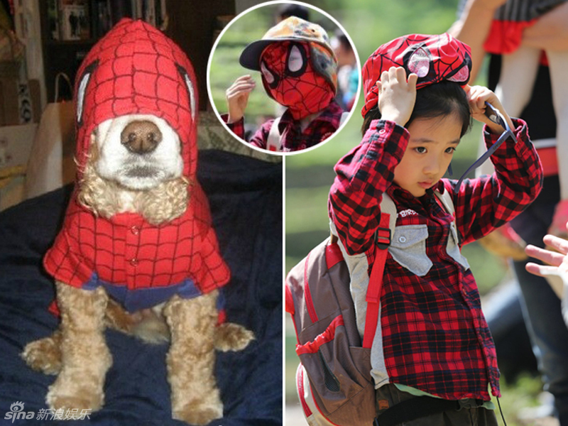 不小心就撞臉了！盤點(diǎn)動(dòng)物界的明星相