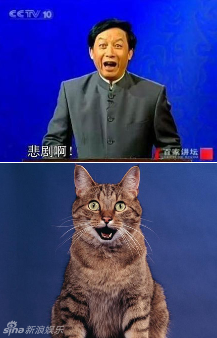 不小心就撞臉了！盤點(diǎn)動(dòng)物界的明星相