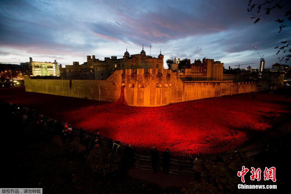 當(dāng)?shù)貢r(shí)間2014年11月10日，英國倫敦，倫敦塔周邊“種植”了888246朵陶瓷材質(zhì)的罌粟花，以此紀(jì)