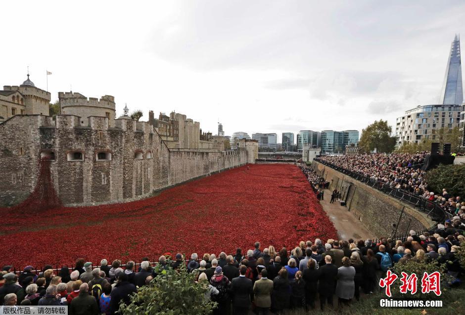 當(dāng)?shù)貢r(shí)間2014年11月10日，英國倫敦，倫敦塔周邊“種植”了888246朵陶瓷材質(zhì)的罌粟花，以此紀(jì)