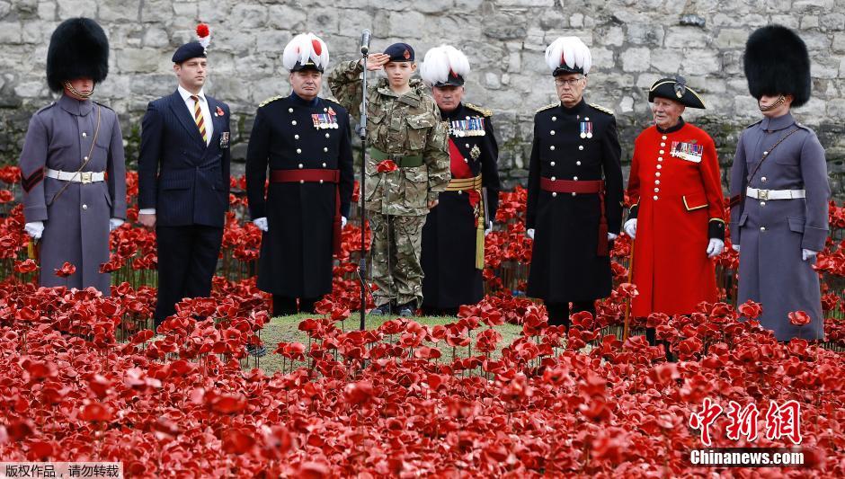 當(dāng)?shù)貢r(shí)間2014年11月10日，英國倫敦，倫敦塔周邊“種植”了888246朵陶瓷材質(zhì)的罌粟花，以此紀(jì)