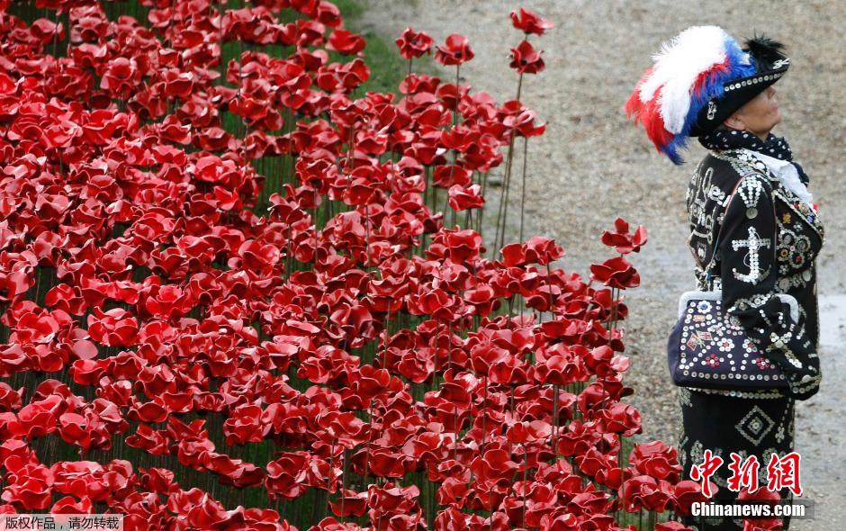 當(dāng)?shù)貢r(shí)間2014年11月10日，英國倫敦，倫敦塔周邊“種植”了888246朵陶瓷材質(zhì)的罌粟花，以此紀(jì)