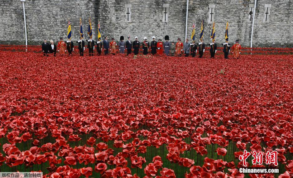 當(dāng)?shù)貢r(shí)間2014年11月10日，英國倫敦，倫敦塔周邊“種植”了888246朵陶瓷材質(zhì)的罌粟花，以此紀(jì)