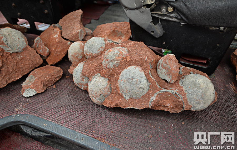 其中完整的19枚，都是直徑約13厘米的“大個(gè)子”。