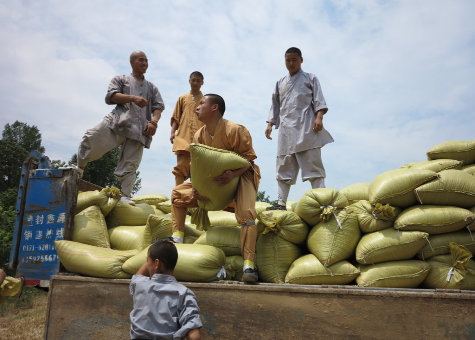 武僧將打包后的糧食集中至運(yùn)輸車輛上。