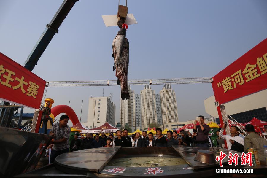 起重機(jī)吊起161.2斤魚王下鍋。 圖片來源：CFP視覺中國