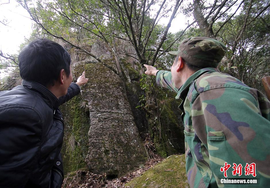 江西崖壁現(xiàn)特殊文字 疑似6000年前祭祀符號 江西崖壁現(xiàn)特殊文字 疑似6000年前祭祀符號