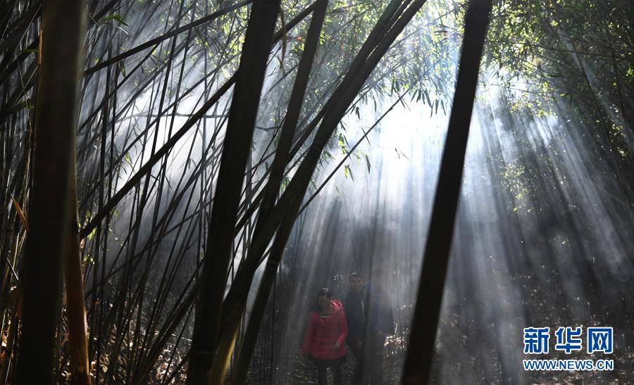 (社會(huì))(12)西成高鐵連起川陜“后花園” (社會(huì))(12)西成高鐵連起川陜“后花園”