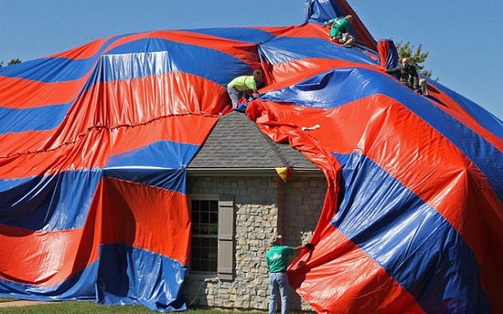 美家庭新買(mǎi)住房中發(fā)現(xiàn)6000只毒蜘蛛 獲賠47萬(wàn)美元(組圖) 美家庭新買(mǎi)住房中發(fā)現(xiàn)6000只毒蜘蛛 獲賠47萬(wàn)美元(組圖)