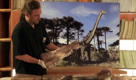 委內瑞拉發(fā)現(xiàn)罕見恐龍化石 骨關節(jié)排列結構特殊