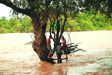 蓋屋、種菜，“從沒(méi)這樣快樂(lè)”