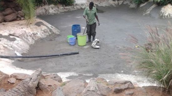 穆克的養(yǎng)殖場(chǎng)，鱷視眈眈下的工作人員。