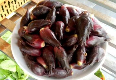 四川多個(gè)景區(qū)農(nóng)家樂賣不明野菜 野芹毒芹分不清