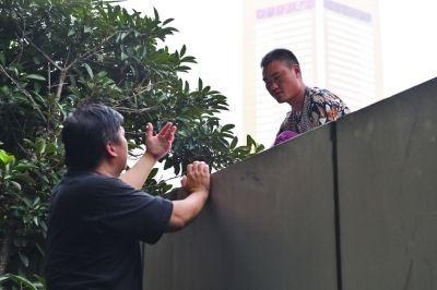 黃主任站在獨(dú)木樁上與男子交談了近半小時(shí)。