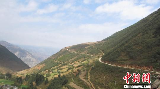 昆明男子葬母歸來(lái)駕車致四人死亡 一審獲刑4年(圖)