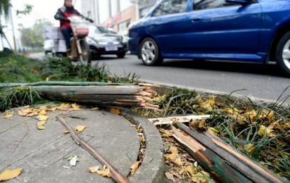 事發(fā)現(xiàn)場，嫌疑車輛撞壞的木樁。