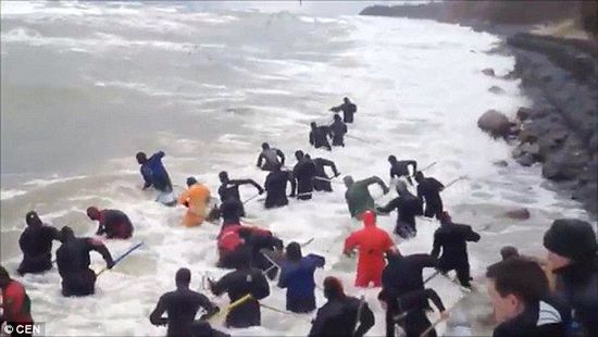 一場暴雨后，俄羅斯加里寧格勒Pionersky鎮(zhèn)，數(shù)十人潛入海水中搜尋琥珀。