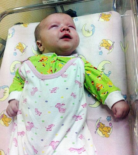 居民認為，如果沒有這只貓的照料，寶寶可能沒有機會活下來。