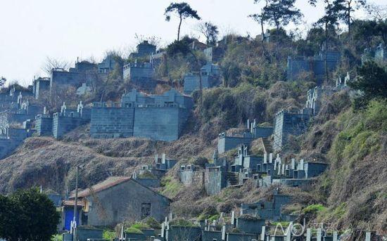 浙江紹興墓群為復(fù)綠遭刷綠漆 當(dāng)?shù)胤Q因難種樹(圖) 浙江紹興墓群為復(fù)綠遭刷綠漆 當(dāng)?shù)胤Q因難種樹(圖)