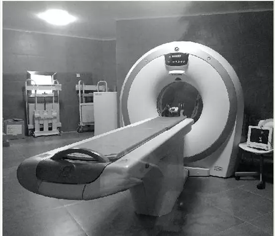 女子為給愛犬治病 從新疆開了4天車還花費5萬5