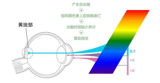 真能亮瞎眼？如何減少手機(jī)對(duì)眼睛的傷害