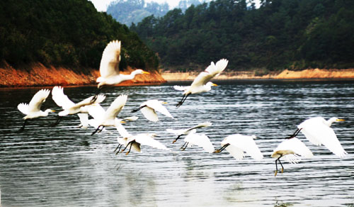 考完去哪兒？千島湖中、高考生門票大優(yōu)惠！