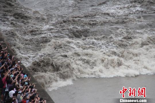 近4年最大八月十八錢江潮如約而至13.8萬(wàn)游客爭(zhēng)睹