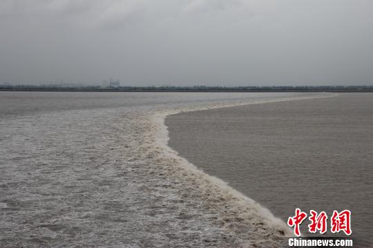 近四年來(lái)最大的農(nóng)歷八月十八錢塘潮如約而至抵達(dá)浙江省海寧鹽官