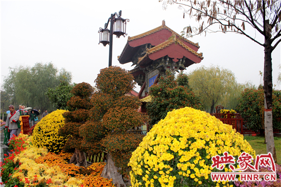 天好、花美 中國開封第32屆菊花文化節(jié)延長一周