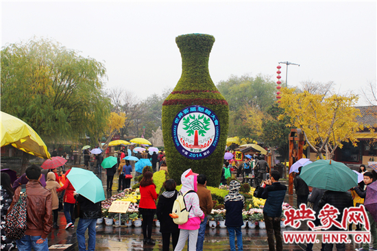 天好、花美 中國開封第32屆菊花文化節(jié)延長一周