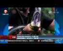 探險(xiǎn)家宣稱錄制被吞入蛇腹過(guò)程