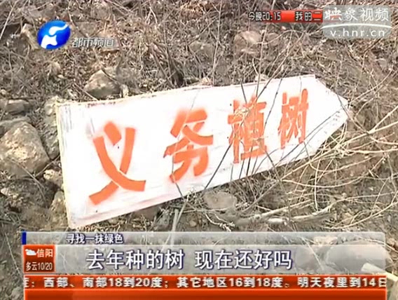 去年種的樹(shù) 現(xiàn)在還好嗎？