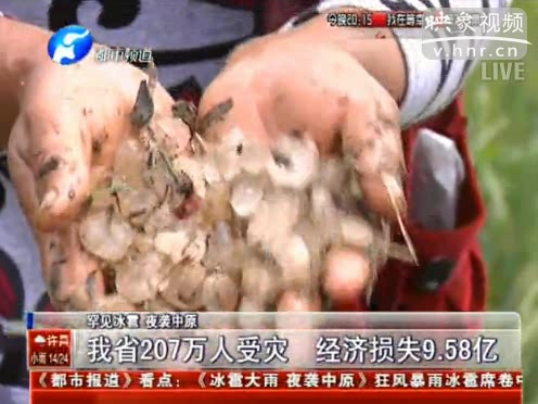 河南207萬人受災(zāi) 經(jīng)濟(jì)損失9.58億