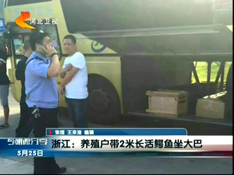 養(yǎng)殖戶帶2米長(zhǎng)活鱷魚(yú)坐大巴