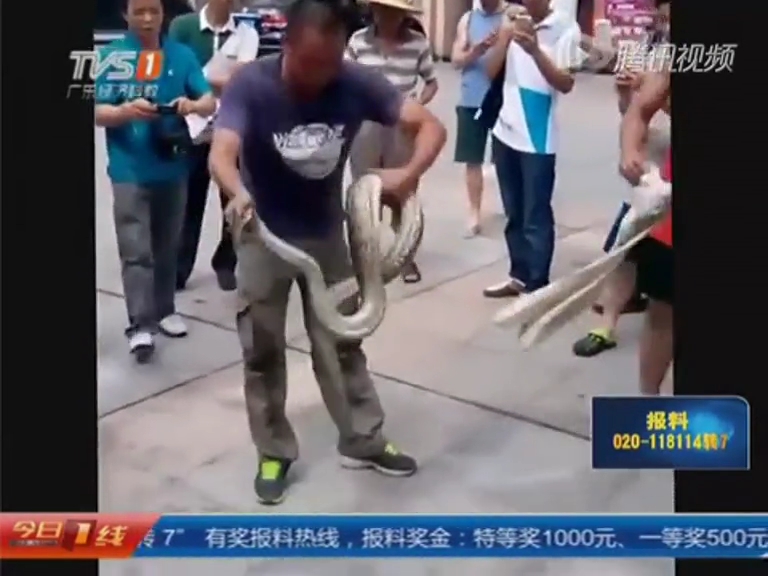 司機(jī)在汽車引擎蓋內(nèi)發(fā)現(xiàn)大蟒蛇 消防花1小時擒獲