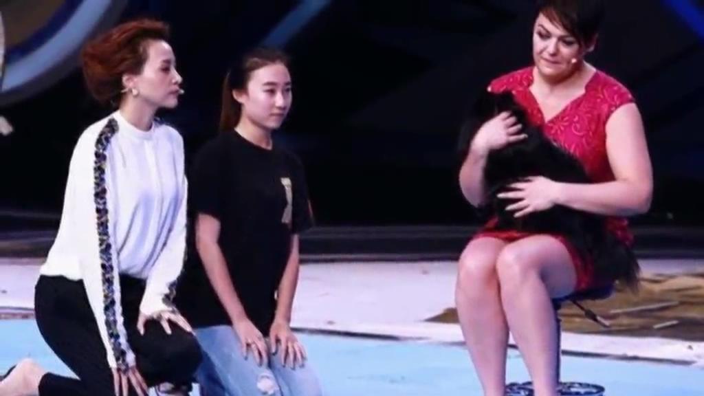 又當(dāng)托？ 董卿節(jié)目現(xiàn)場(chǎng)當(dāng)眾對(duì)狗下跪稱(chēng)被催眠