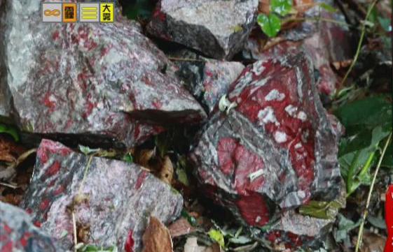 驚！神農(nóng)架無人區(qū)現(xiàn)神秘玉石