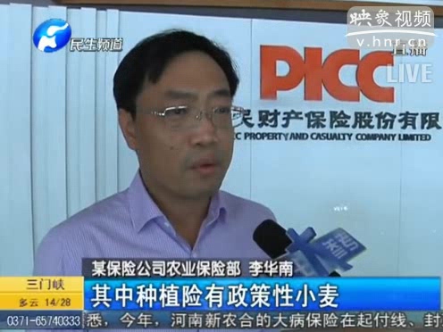 冰雹惹禍 損失能索賠嗎？