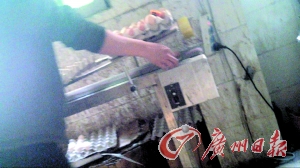 工作人員正在為“土雞蛋”噴日期碼。