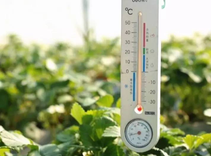 溫度監(jiān)測(cè) 溫度監(jiān)測(cè)